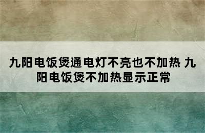 九阳电饭煲通电灯不亮也不加热 九阳电饭煲不加热显示正常